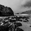 Pfeiffer Beach in Big Sur State Park Mural Wallpaper - pure wallpaper artwork