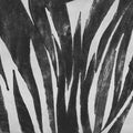 Tres Tintas POSEIDONIA Mural Wallpaper - pure wallpaper artwork