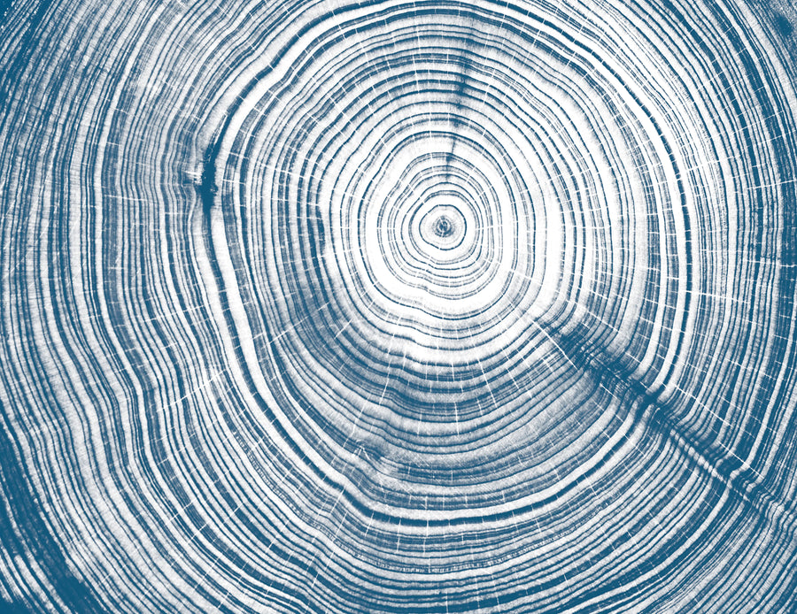 Tres Tintas PIN COUER Mural Wallpaper