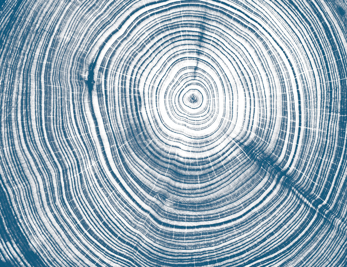 Tres Tintas PIN COUER Mural Wallpaper - pure wallpaper artwork