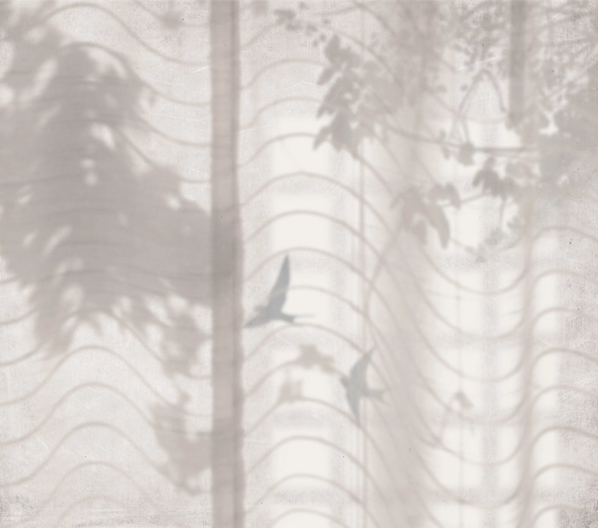 Tres Tintas HORTUS UMBRA Mural Wallpaper - pure wallpaper artwork