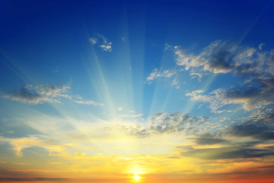 Sunrise Mural Wallpaper