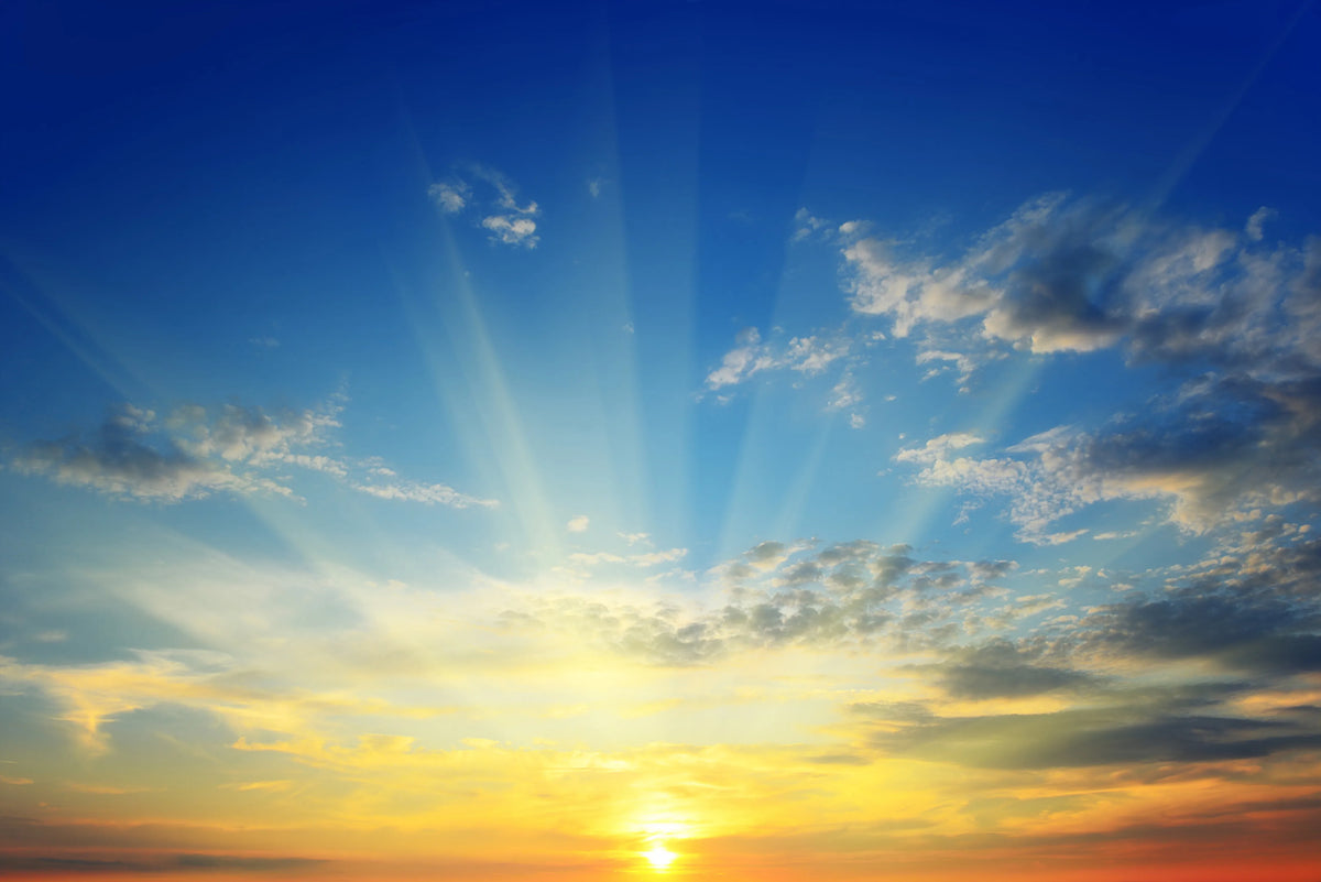 Sunrise Mural Wallpaper - pure wallpaper artwork