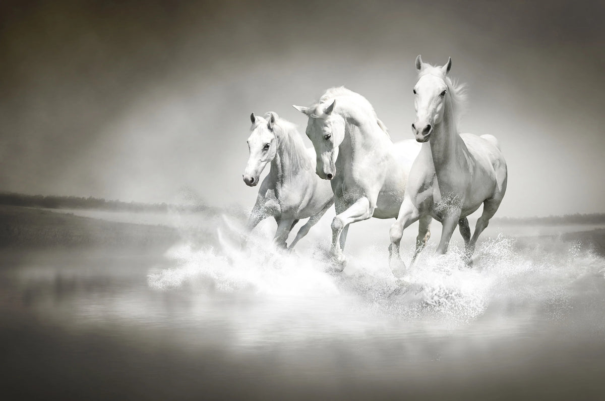 Horses Mural Wallpaper - pure wallpaper artwork