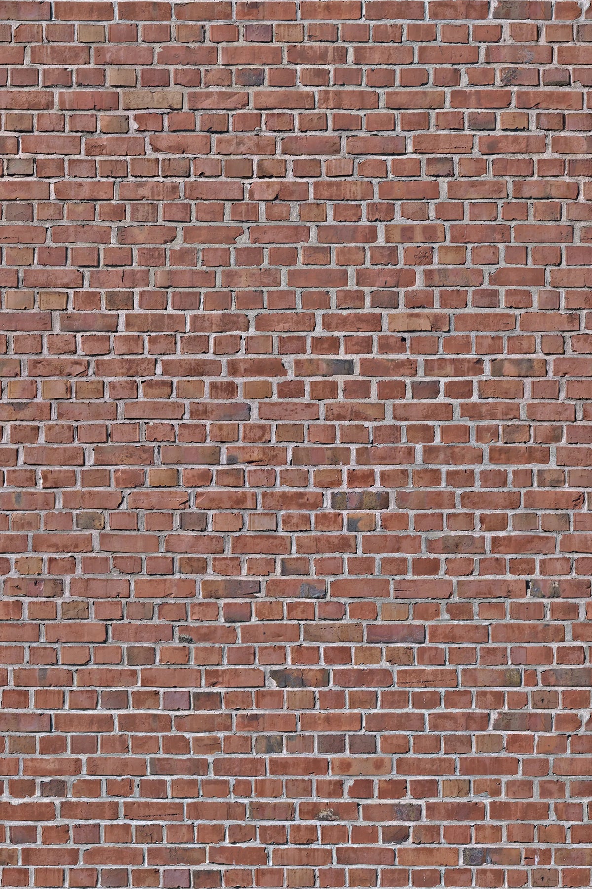 Brick Wall, Red Mural Wallpaper - pure wallpaper artwork