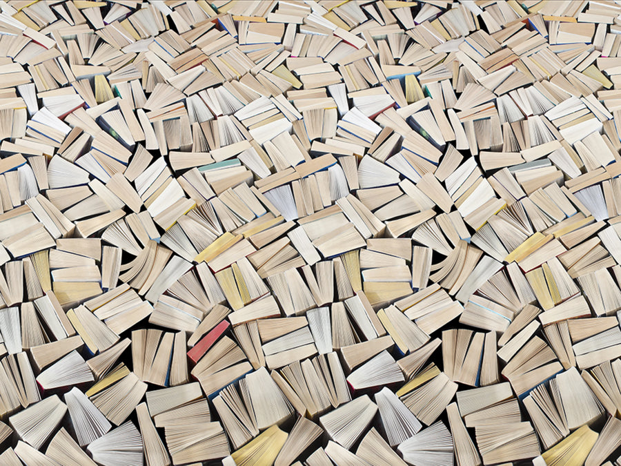 Books Mural Wallpaper