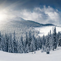 Winter Mural Wallpaper - pure wallpaper artwork