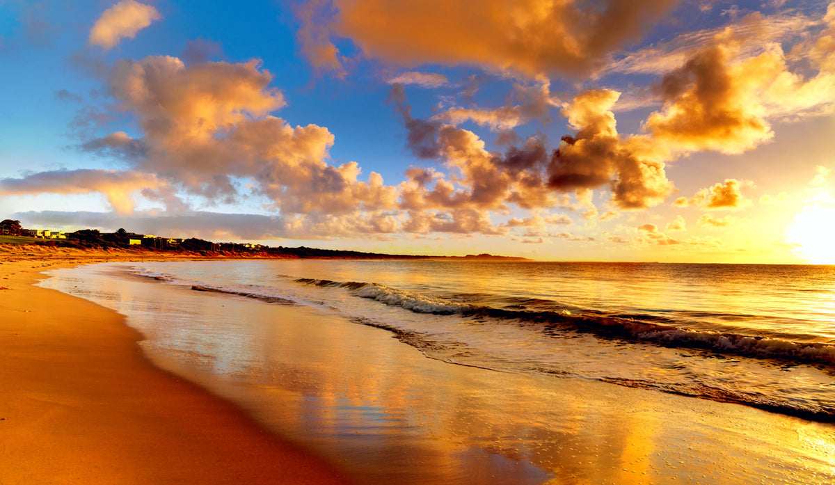 Beach Mural Wallpaper - pure wallpaper artwork