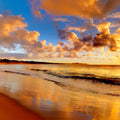 Beach Mural Wallpaper - pure wallpaper artwork