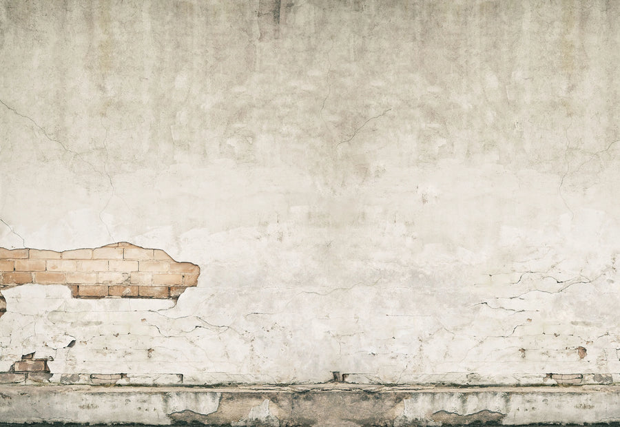 Frontage Mural Wallpaper