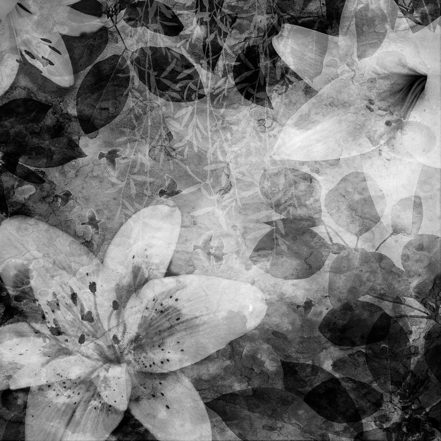 Garden of Dreams, Black & White Mural Wallpaper