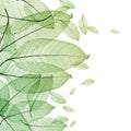 Foliage Mural Wallpaper - pure wallpaper artwork