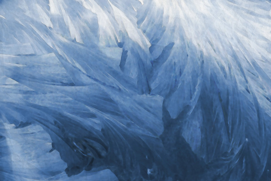Feathers Mural Wallpaper