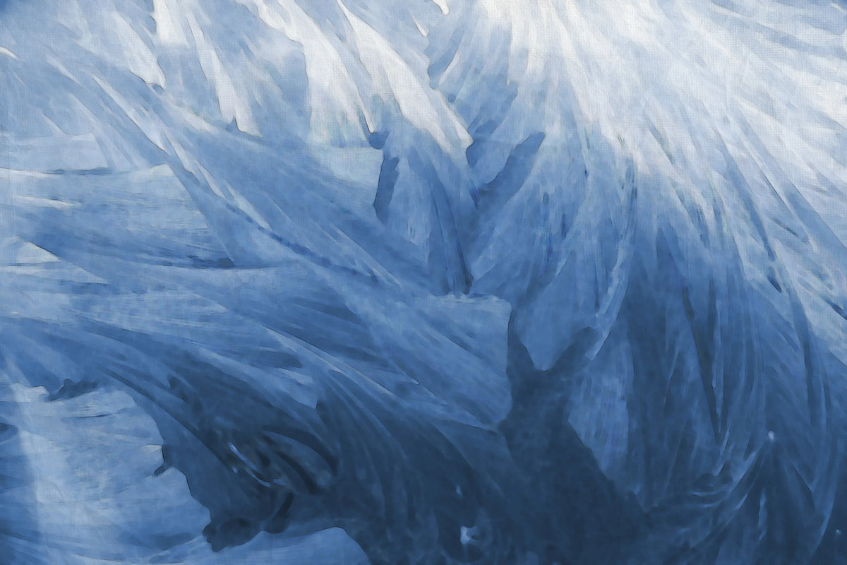 Feathers Mural Wallpaper - pure wallpaper artwork