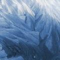 Feathers Mural Wallpaper - pure wallpaper artwork