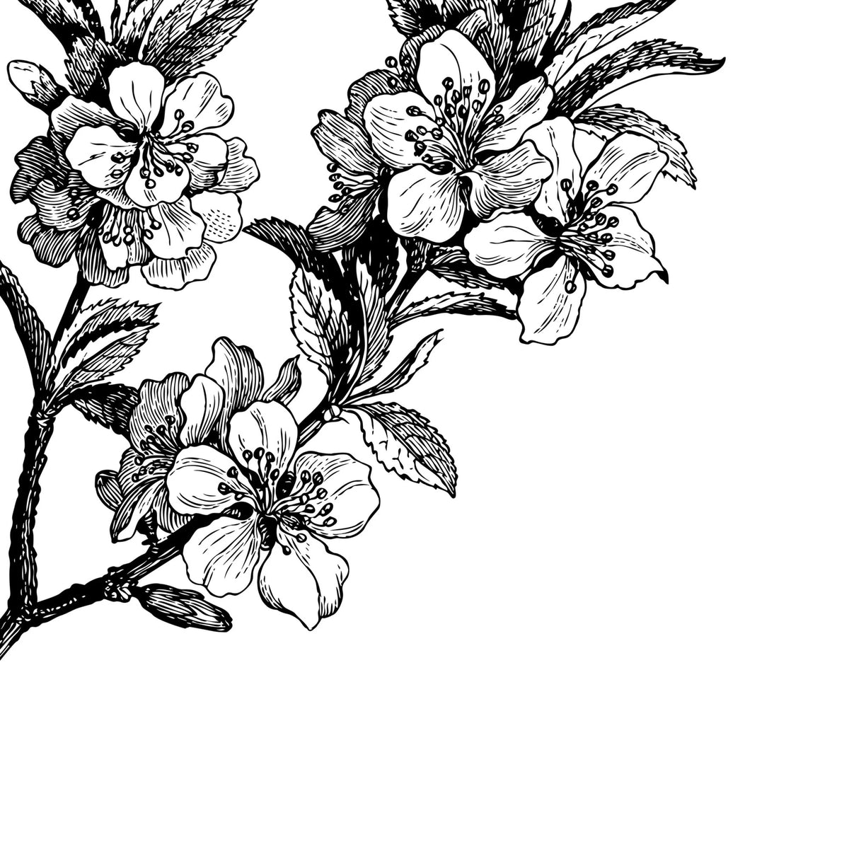 Springtime, Black&white Mural Wallpaper - pure wallpaper artwork