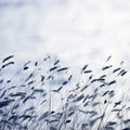 Scandinavian Light Mural Wallpaper - pure wallpaper artwork