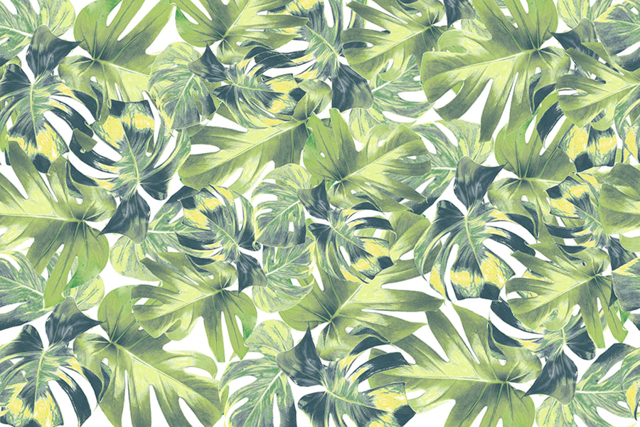 Welcome To The Jungle Mural Wallpaper