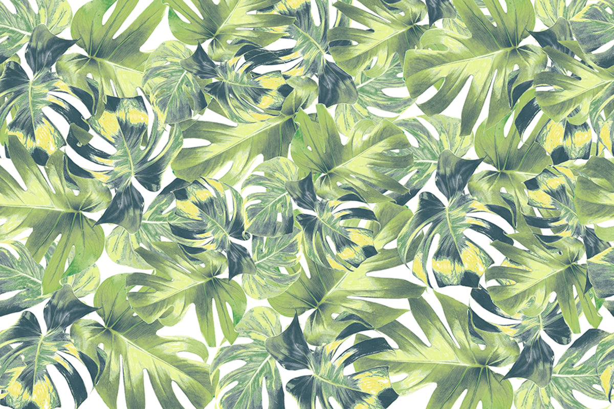 Welcome To The Jungle Mural Wallpaper - pure wallpaper artwork