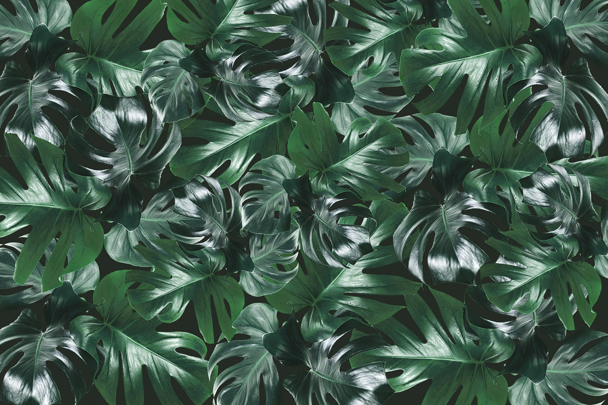 Welcome to the Jungle, Authentic Mural Wallpaper - pure wallpaper artwork