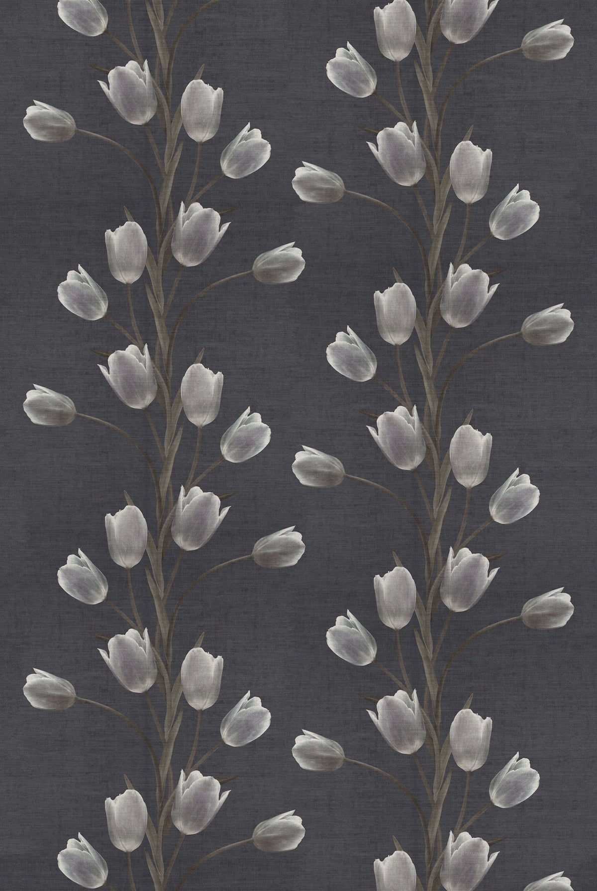 La Vie En Tulipe, Black Mural Wallpaper - pure wallpaper artwork