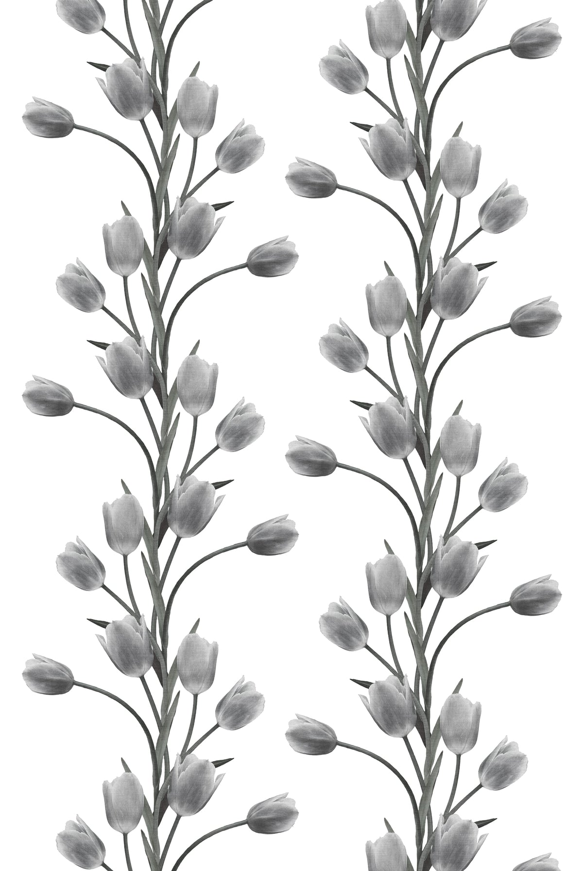 La Vie En Tulipe, White Mural Wallpaper - pure wallpaper artwork