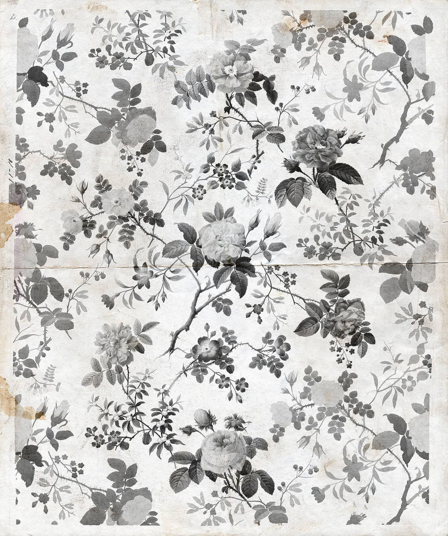 Rosegarden, Black Mural Wallpaper