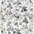 Rosegarden, Black Mural Wallpaper - pure wallpaper artwork