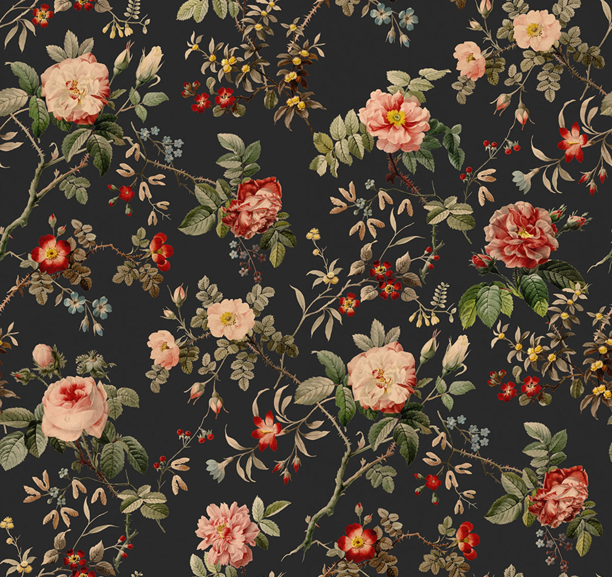 Thorn Rose Mural Wallpaper - pure wallpaper artwork