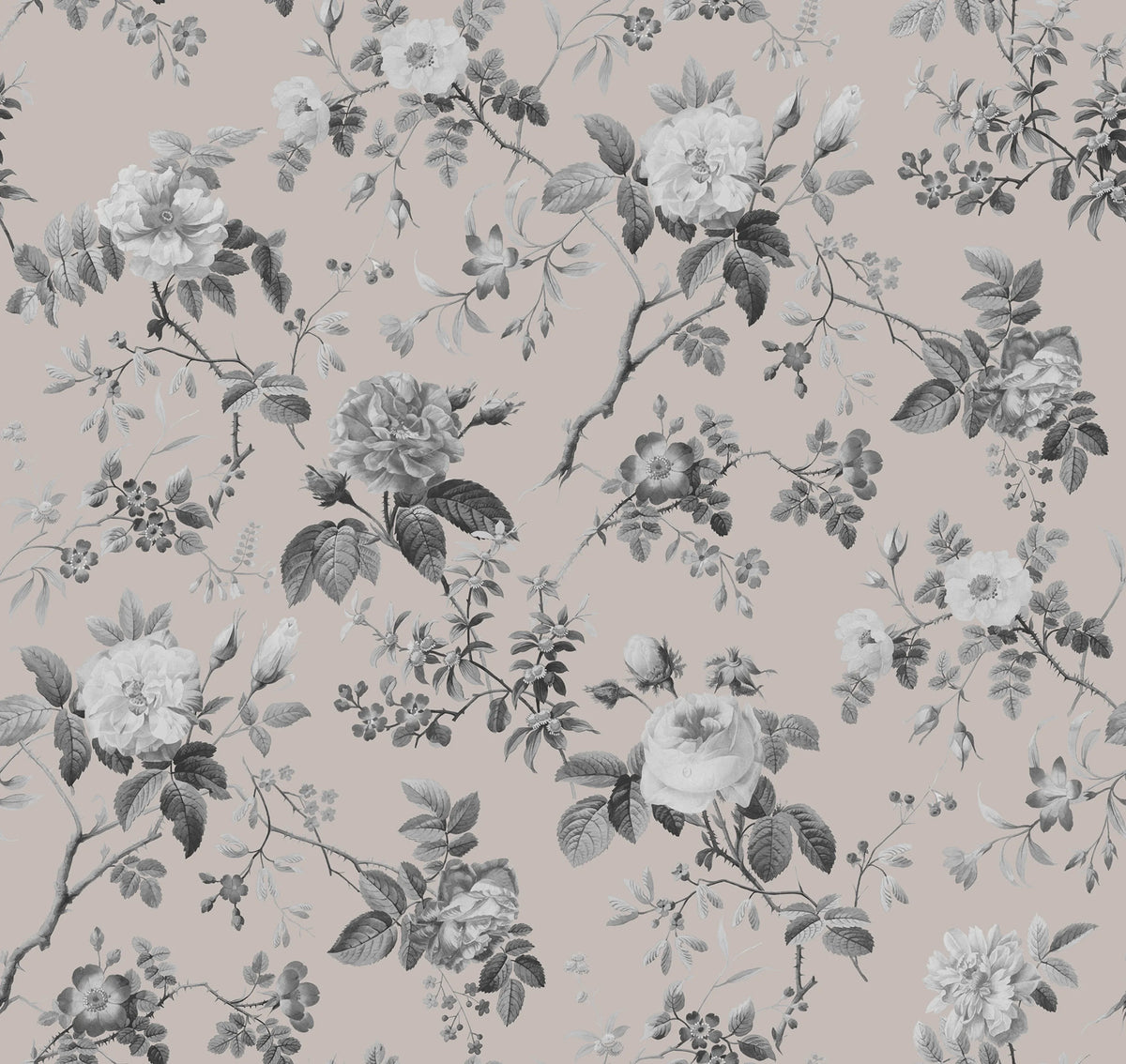 Thorn Rose, Early Rise Mural Wallpaper - pure wallpaper artwork