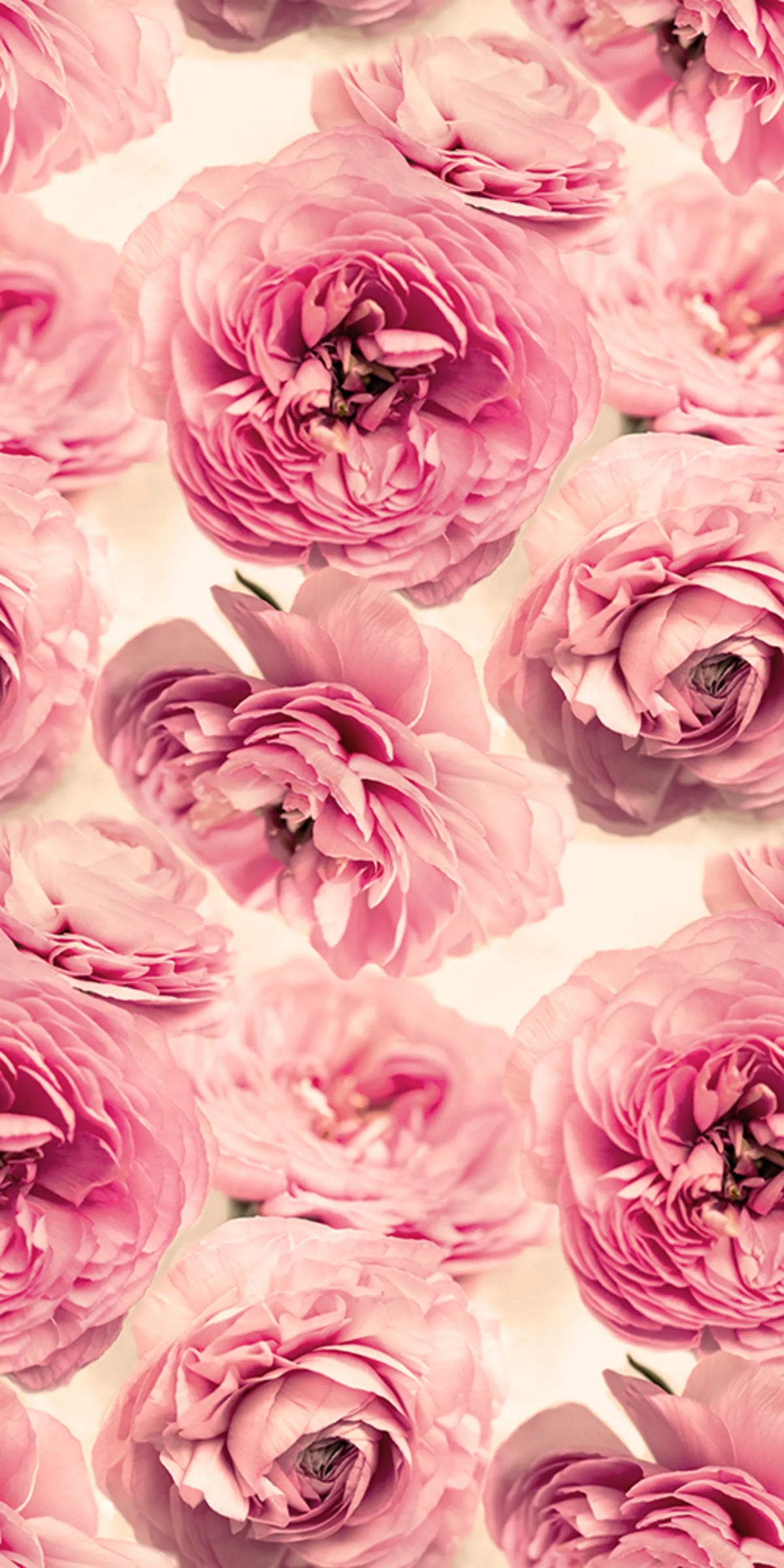 Summer Wind Mural Wallpaper - pure wallpaper artwork
