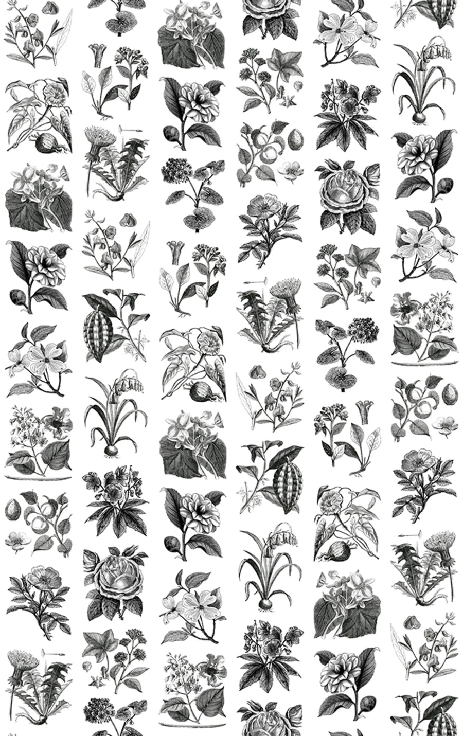 Fruit & Flora Mural Wallpaper