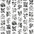 Fruit & Flora Mural Wallpaper - pure wallpaper artwork