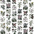 Fruit & Flora, Color Mural Wallpaper - pure wallpaper artwork