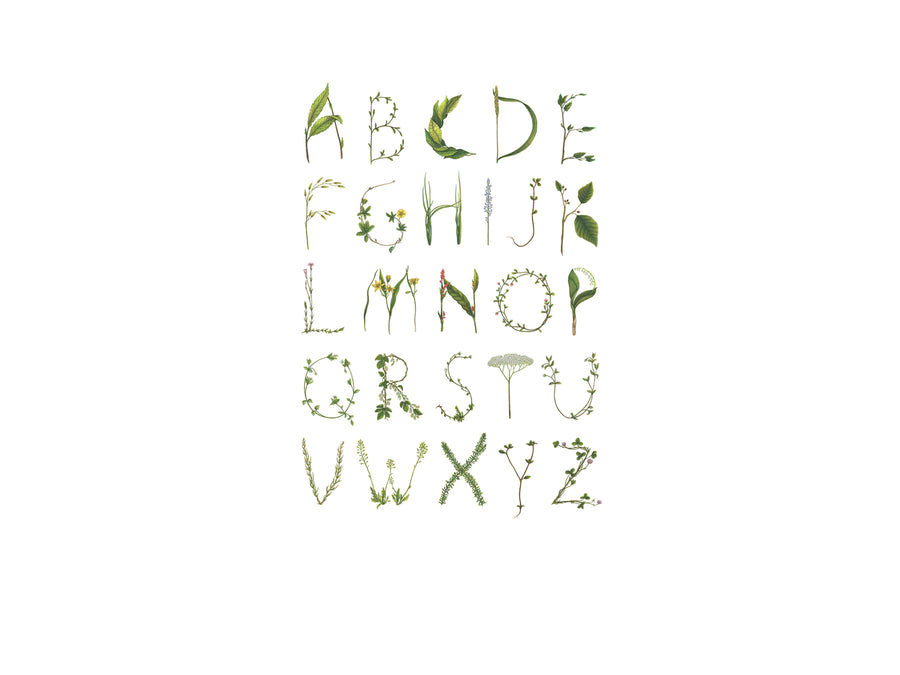 ABC for the spelling bee Mural Wallpaper