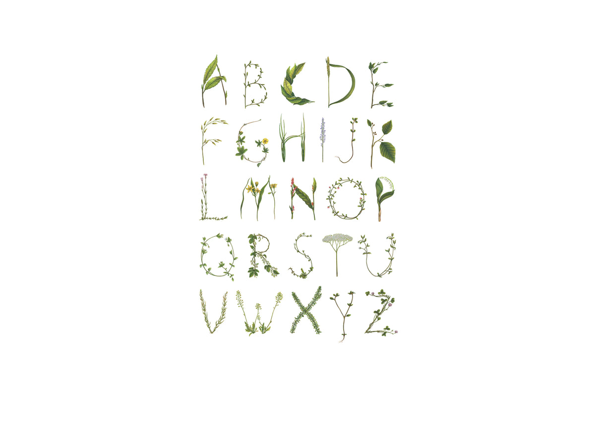 ABC for the spelling bee Mural Wallpaper - pure wallpaper artwork