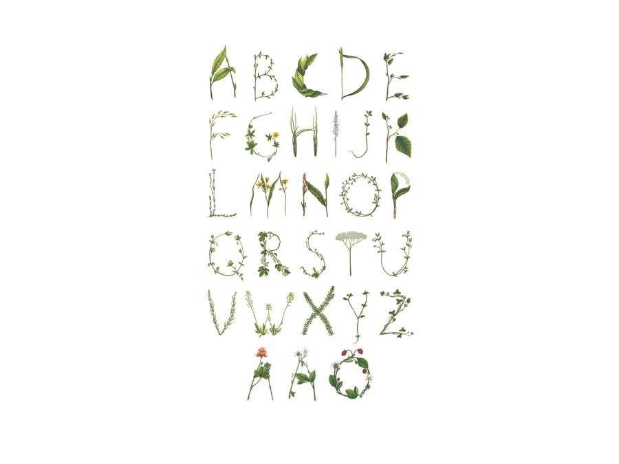ABC for the spelling bee in Swedish Mural Wallpaper