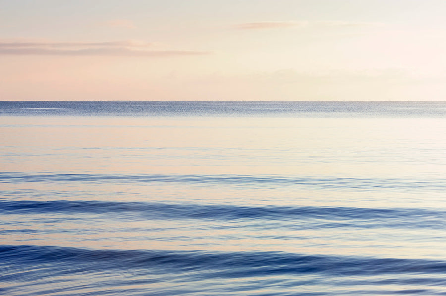 Graceful Sea Mural Wallpaper