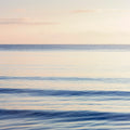 Graceful Sea Mural Wallpaper - pure wallpaper artwork