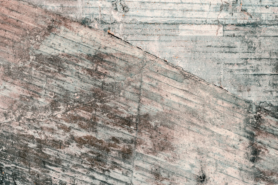 Lingering Wall Mural Wallpaper