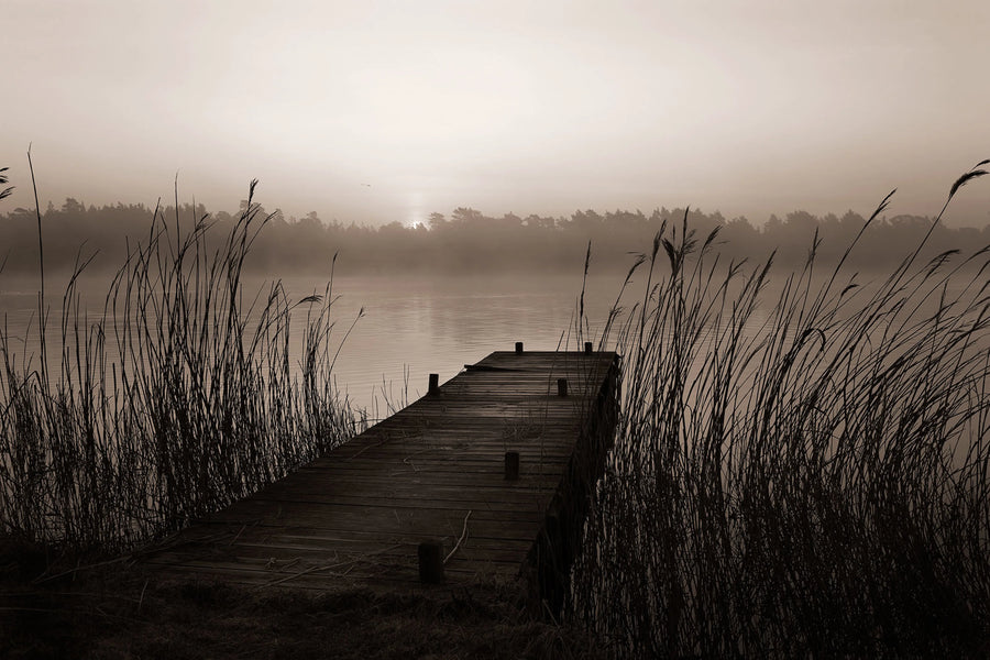 Misty Lake Mural Wallpaper