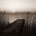 Misty Lake Mural Wallpaper - pure wallpaper artwork
