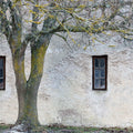 Under The Tree Mural Wallpaper - pure wallpaper artwork