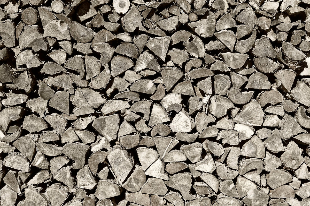 Woodpile Mural Wallpaper - pure wallpaper artwork