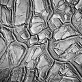 Dried Clay Mural Wallpaper - pure wallpaper artwork