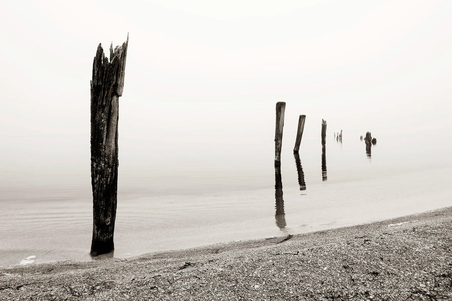 Shoreline Mural Wallpaper