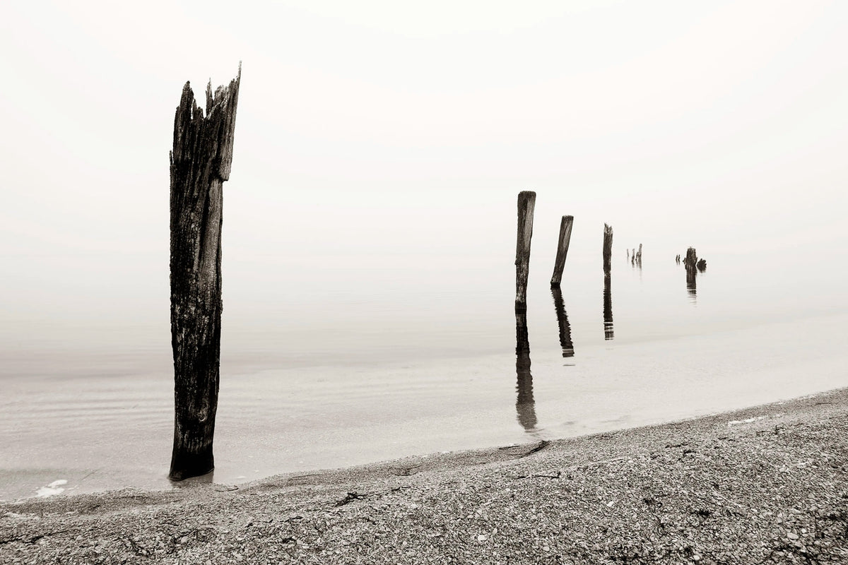 Shoreline Mural Wallpaper - pure wallpaper artwork