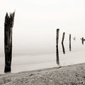 Shoreline Mural Wallpaper - pure wallpaper artwork