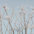 Frostwork Mural Wallpaper - pure wallpaper artwork