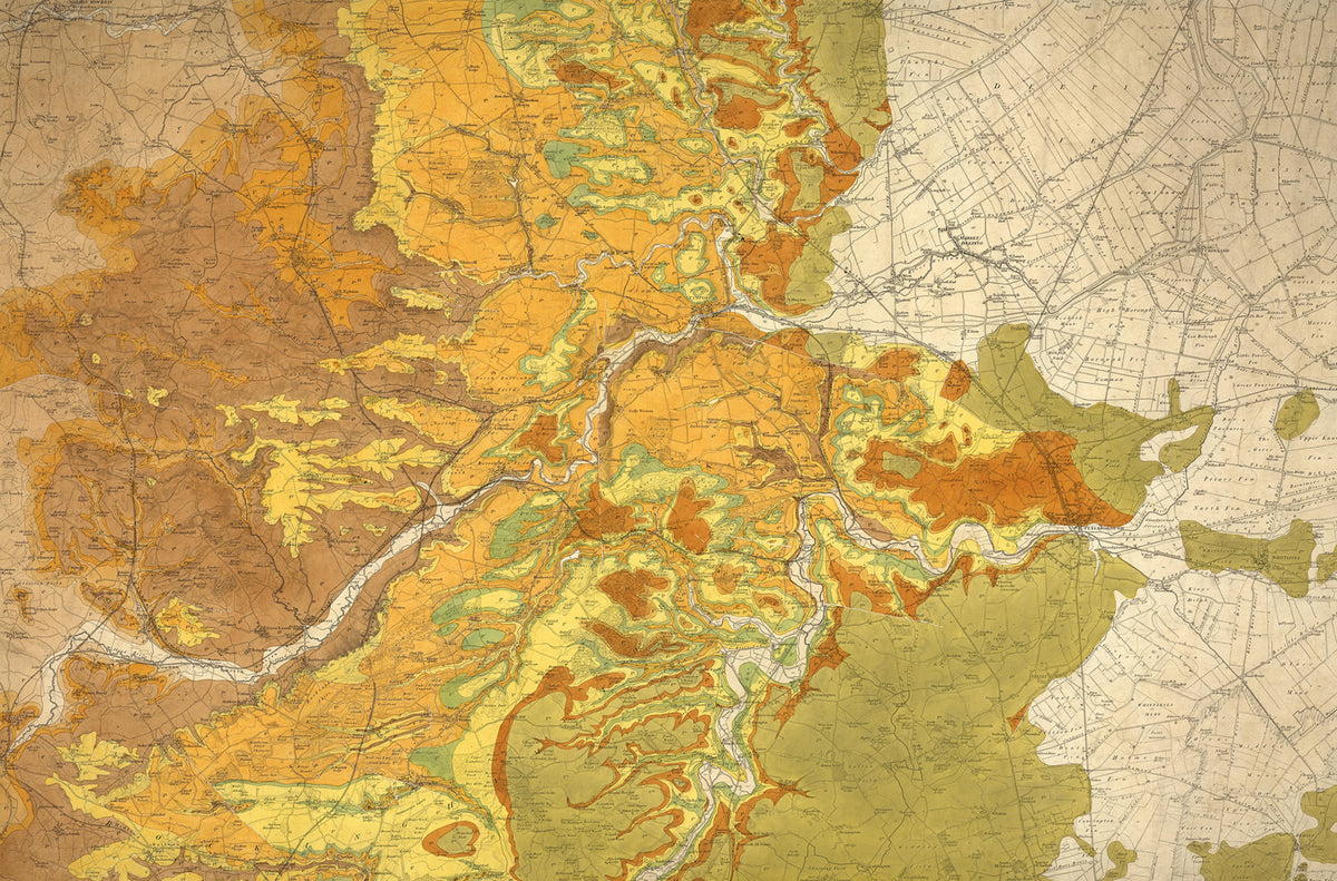 Trails and Tracks Mural Wallpaper - pure wallpaper artwork